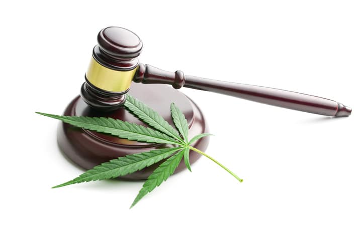 Cannabis Laws in California