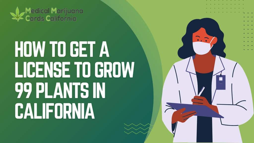 How To Get A License To Grow 99 plants in California